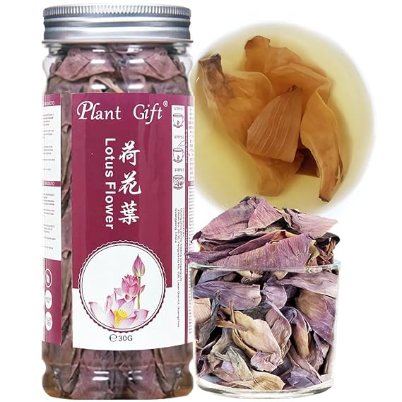 Plant Gift 100% Pure Lotus Flower Tea , Caffeine-Free 30g/1.05oz Herbal | Non-GMO. No Fillers Or Additives. Dried Whole Petals. Mild Floral Aroma. Great Hot Or Iced. Also Known As Lotus Leaf Tea.