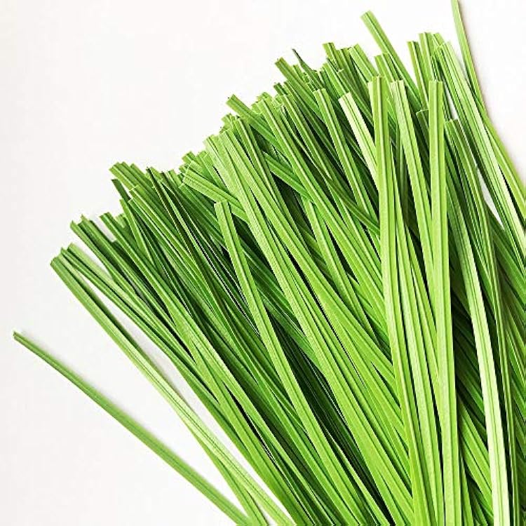 Garden Twist Tie Plant Ties Stripes 200 pcs 6 inches for Plants, Vines and Wrapping Cords or Christmas tree