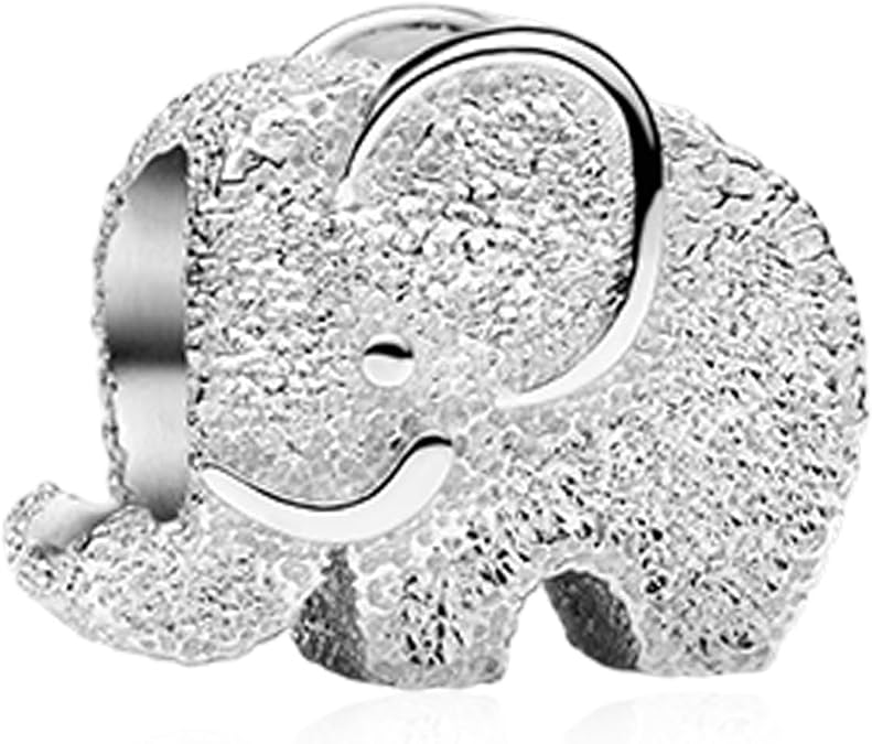 Annmors 925 Sterling Silver Gradaution Charms Fit Pandora Moments Bracelets