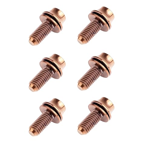 Titanium Hex Bolts with Washers 6PCS (Bronze)