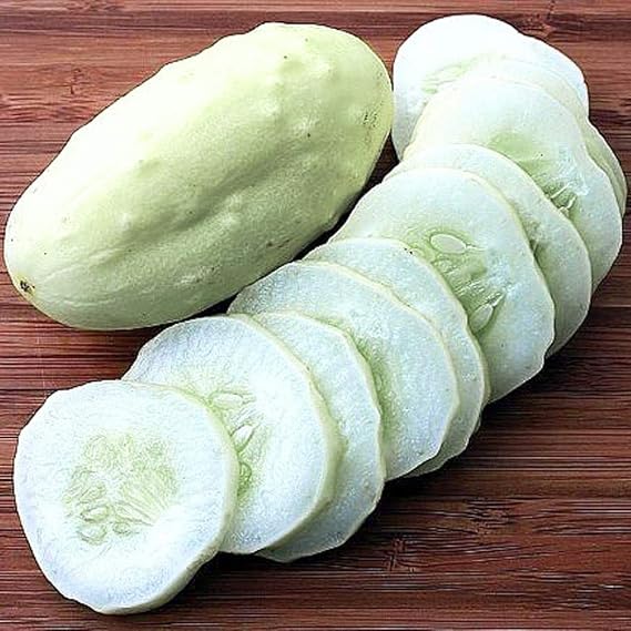 Seeds Cucumber White Angel - Vegetable - Heirloom GMO Free