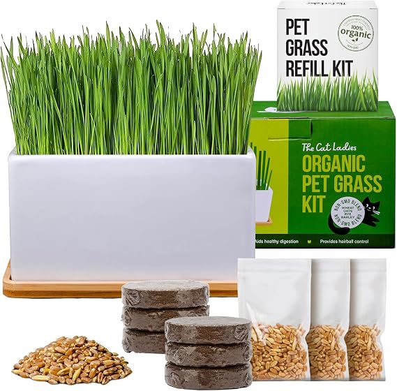 TCL Ceramic Planter Cat Grass Kit with Refill