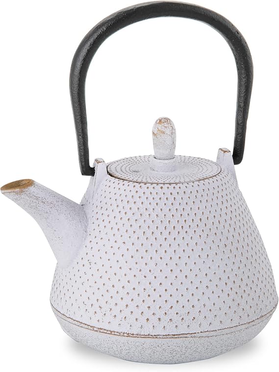 Roji Associates Cast Iron Teapot, Nanbu Tekki Teapot, ARARE - Dome Type, Made in Japan, with Tea Strainer, Inner Enamel Finish, Color Pot, Open Fire Ban (13.53 fl oz/White)