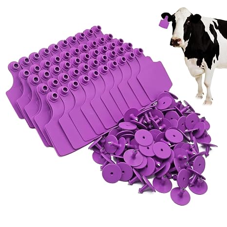 4.1" L3.5" W Cattle Ear Tags Big Blank 100PCS Livestock Identification TPU | Cow Ear Tags for Cattle Laser Tags for Cows Pigs Hog Goats Sheep Calf Animal Goat Sheep Earring Tags Non-fading (Purple)