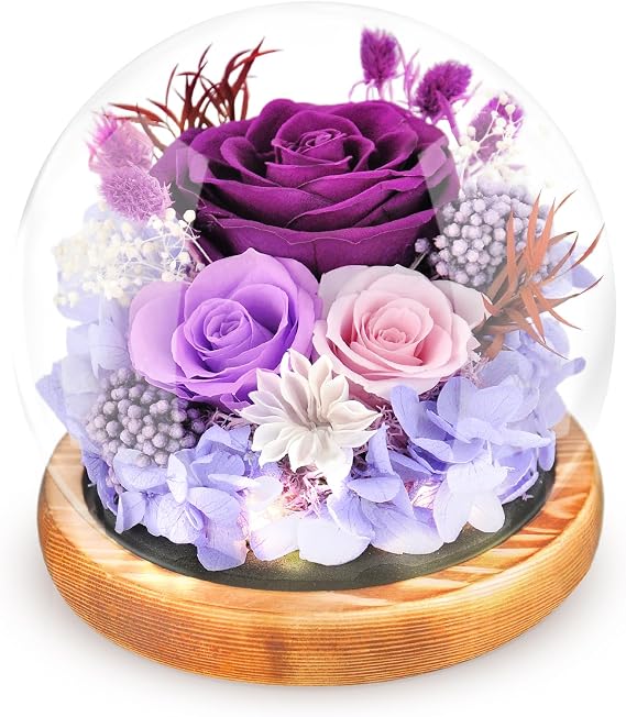 Jabeick Preserved Flowers Rose in Glass Dome with Light Forever Flowers