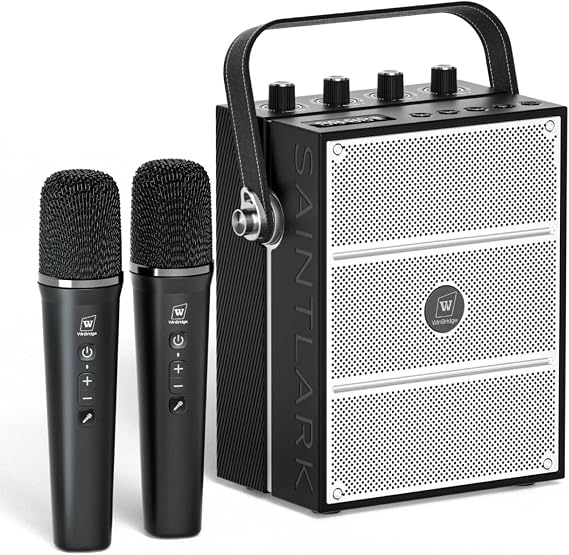 100W Powerful Voice Amplifier with 2 Wireless Microphones S99