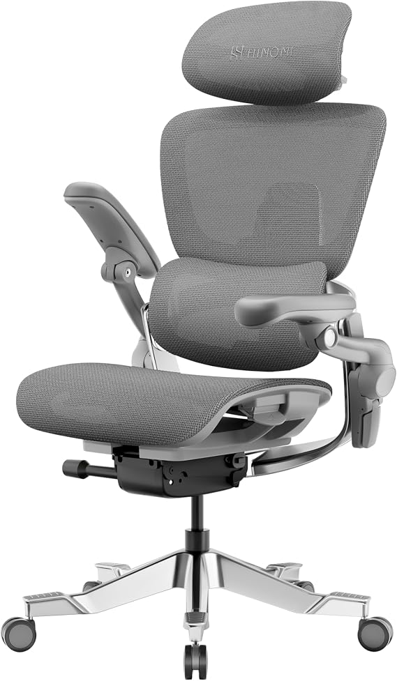 HINOMI H2 Pro Premium Ergonomic Office Chair - Comfy Home Office Desk Computer Chair with Adjustable Back Support, Swivel Wheels, Flip-up Arms, Ultra Soft Mesh Seat for Desk Work