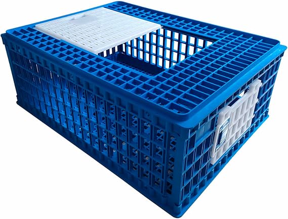 Chicken Transport 3 Door CAGE COOP Crate Chicken Quail Pigeons