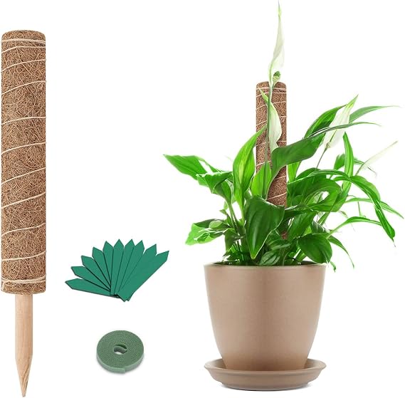 GROWNEER 17 Inches Moss Pole with 15 Pcs Plant Labels, Coir Totem Pole Coco Stick for Plant Support Extension, Climbing Indoor Plants, Creepers