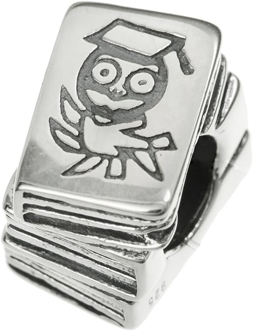 925 Sterling Silver Wise Owl Bird Apple Book Teacher Education Collection Fits European Charm Bracelets
