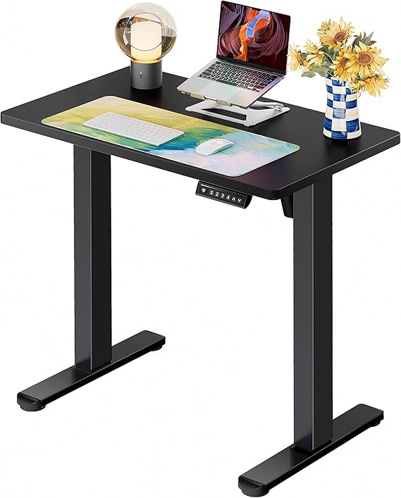 ErGear 31 X 19 Inch Height Adjustable Electric Standing Desk, Black