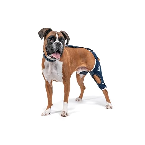 Jump Dog Knee Brace Orthopedic ACL/CCL Support for Dogs Adjustable Leg Stabilizer for Joint Pain, Injury Recovery & Arthritis Vet-Approved Canine Knee Support (Large, Right Leg)