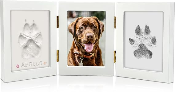 MYPAWLETS Paw Print Kit Keepsake,Ink&Clay Frame for Pet Pawprint,White