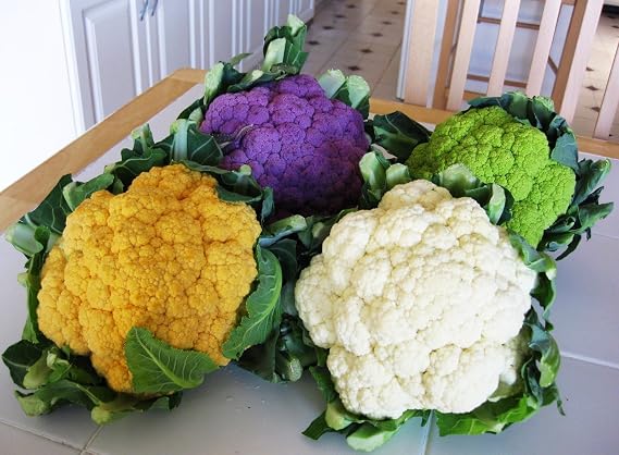 300+ Seeds Cauliflower Mix Cabbage - Vegetable Multicolor