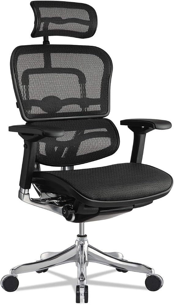 Eurotech Ergohuman Elite High-Back Chair, 18.1" to 21.6" Seat Height, Black