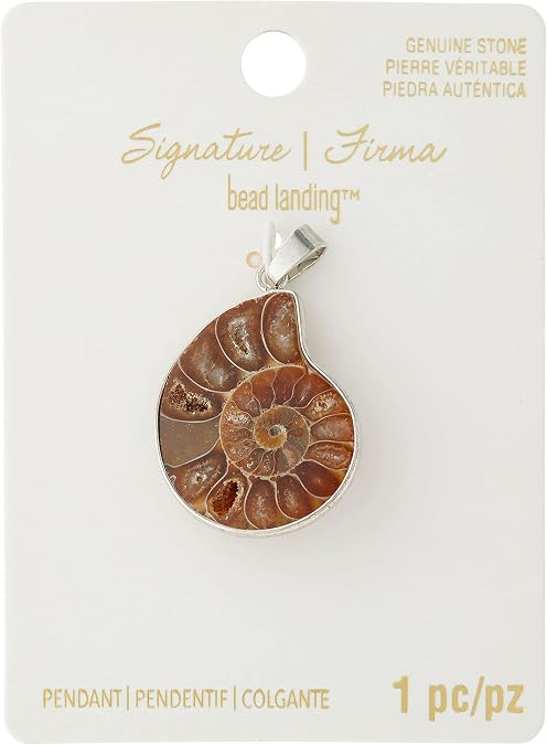 Fossil Shell Pendant