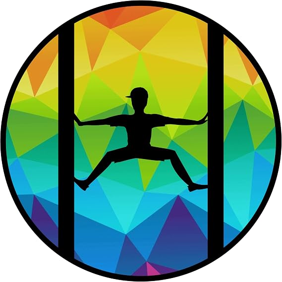Ninja Warrior Inspired Obstacles Stickers Featuring Salmon Ladder, Jumping Spider & Warped Wall (4 Inches, Boy Jumping Spider)