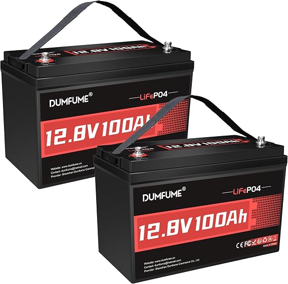 2 Packs 12V 100Ah LiFePO4 Lithium Battery With 100A BMS