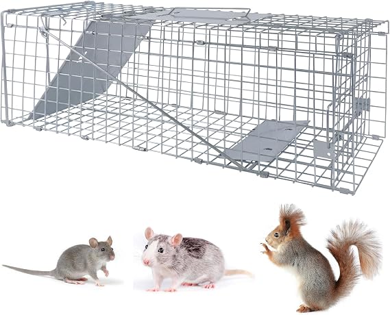 Live Rat Cage Trap | Humane Mouse Traps & Rat Traps - All Weather, Home & Animal Friendly Reusable Rat, Mouse, Squirrel, Mole, Rabbit, Rodent Solution - Mouse Traps for Indoors/Outdoors (Large)