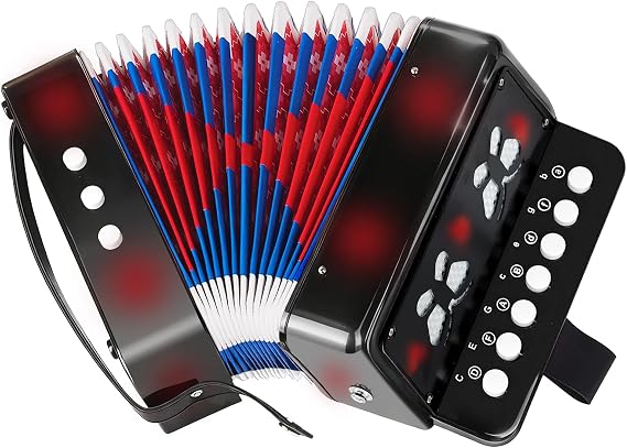 Kids Accordion Instrument, Beginner Accordion for Kids Ages 3+ Gift, Black | With Easy-Play Buttons, Bass and Chord Keys, A Fun First Musical Instrument for Learning and Gifts
