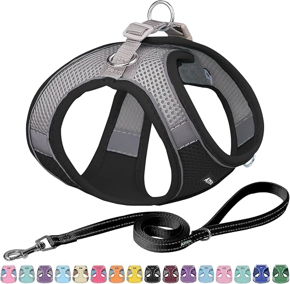 AIITLE Small Dog Harness and Leash Set, Step-in Puppy Pet Vest, Black S