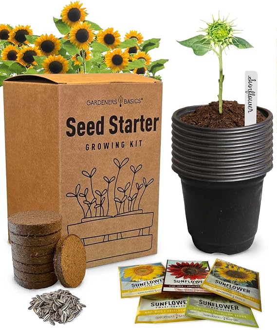Sunflower Growing Kit 5 Giant & Colorful Sunflowers Gifts for Women Non-GMO Heirloom Seeds, Complete Indoor & Outdoor Sunflower Garden Grow Kit, Easy to Grow & Perfect for Pollinators