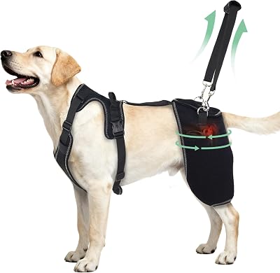 Dog Hip Support Brace for Hip Dysplasia, Adjustable Dog Hip Brace with Lift Strap, Warm Pain Relief for Dog Arthritis and Joint Pain, Suitable for Medium to Large Dogs,L