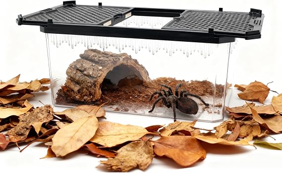 Reptile Terrarium,Tarantula Enclosure,Spider Tank Starter Kit,Leopard Gecko Container,Hermit Crab Habitat,Lizard Enclosure,Insect Housing,Jumping Spider Cage,Small Bearded Dragon Vivarium