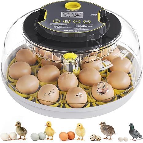IBKINXX Incubator for Hatching Eggs-18 Egg Capacity, Automatic Egg Turner, Temperature & Humidity Control, 360 Viewing for Chicken, Duck and Quail Eggs