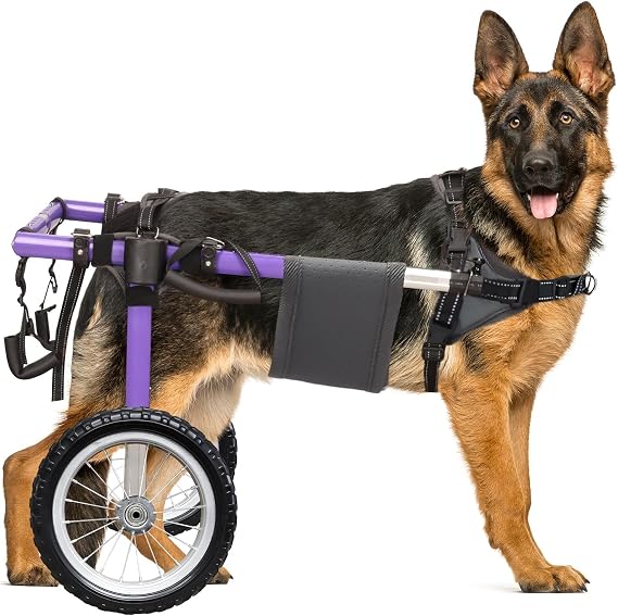 Dog Wheelchair for Back Legs - Dog Wheelchair