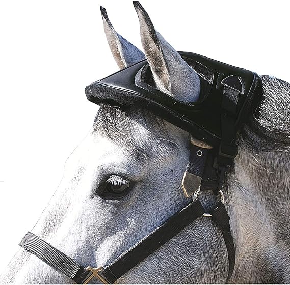 Cashel Horse Helmet Black (HH-BLA), One Size