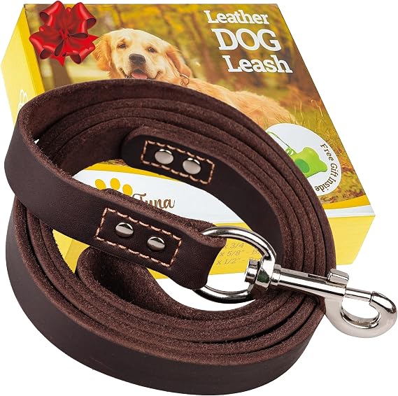 ADITYNA Leather Dog Leash for Large, Medium, and Small Dogs, 6ft x 3/4"