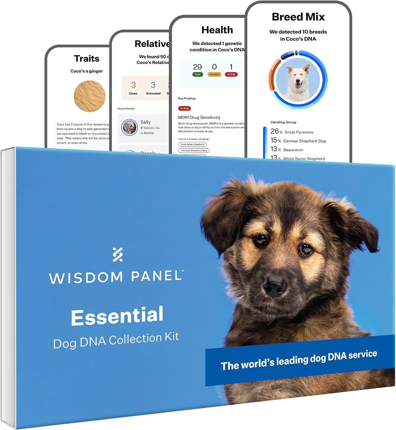 Wisdom Panel Essential Dog DNA Kit: Most Accurate Test for 365 Breeds, 30 Genetic Health Conditions, 50 Traits, Relatives, Ancestry - 1 Pack