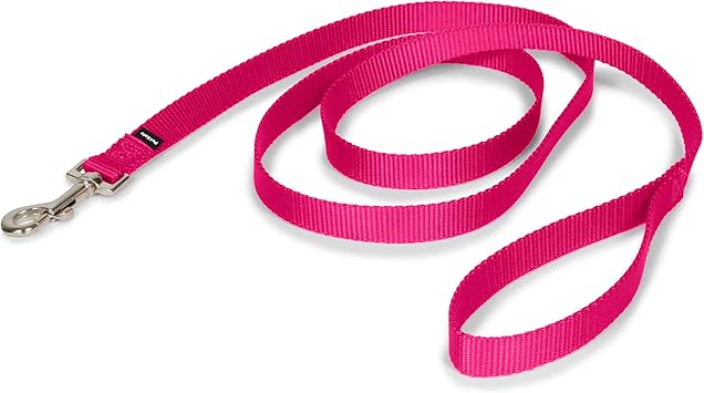 PetSafe Nylon Dog Leash Strong, Durable, Traditional Style Lead with Easy to Use Bolt Snap for Small, Medium and Large Dogs 3/4 in. x 6, Raspberry