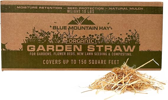Blue Mountain Hay Organic Garden Straw Mulch for Beds & Garden Cover, 10lb