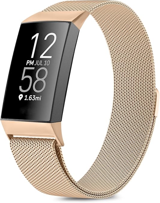 Amzpas Mesh Wristband for Fitbit Charge 4/3 - Stainless Steel with Magnet Clasp for Women & Men