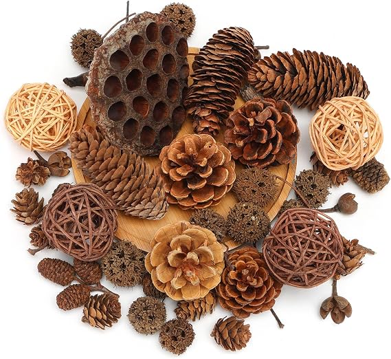 DomeStar 38 PCS Pine Cone Set for Bowl Centerpiece, Natural Bowl Fillers