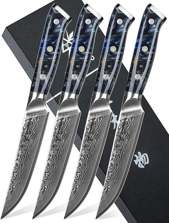 Steak Knives Set of 4, Ultra Sharp Non Serrated Kitchen Steak Knife 5 Inch - Damascus Steel & Resin Handle - Xuan Series (Starry Black)