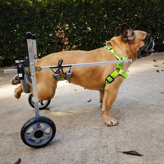 Dog Wheelchair Small Pet Wheelchairs for Back Legs, Adjustable Mobility Aid Trolley Medium, Injured Dog Bike Trailer Fits Shih Tzu, Dog Cart for Outdoor Use(S)