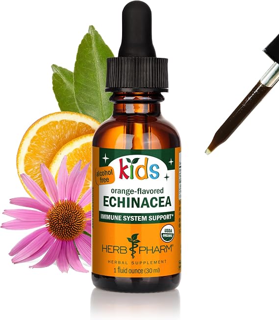 Herb Pharm Kids Echinacea Extract Alcohol-Free Certified Organic Liquid Herbal Supplement for Kids, Immune Support Drops for Toddlers & Children, Non-GMO, Vegan, Echinacea Purpurea Root, 1 fl oz