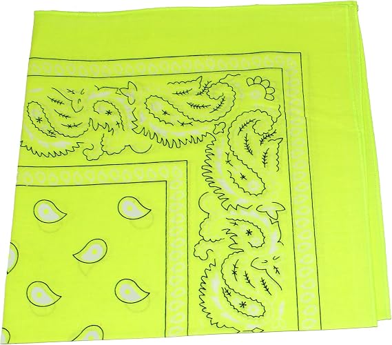 Paisley Cotton Non Fading Print Bandanas - Bulk Lot - 35 Pack