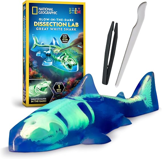 National Geographic Glow-in-the-Dark Shark Dissection Kit for Kids