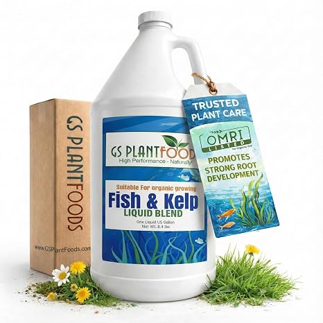 GS Plant Foods Liquid Fish & Kelp Fertilizer (1 Gallon) Organic Material Review Institute Listed Natural Plant Food for Home Gardens, Lawns, and Vegetables