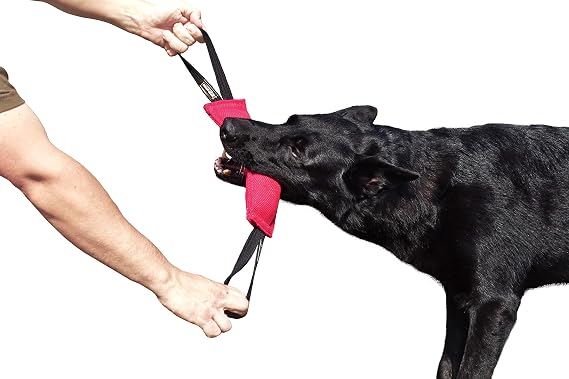 Dingo Gear S00311 Cotton Nylon Teething Sausage for Dog Training IGP IPO Obiedence Schutzhund Dog Sports 28 x 7 cm 2 Handles Pink