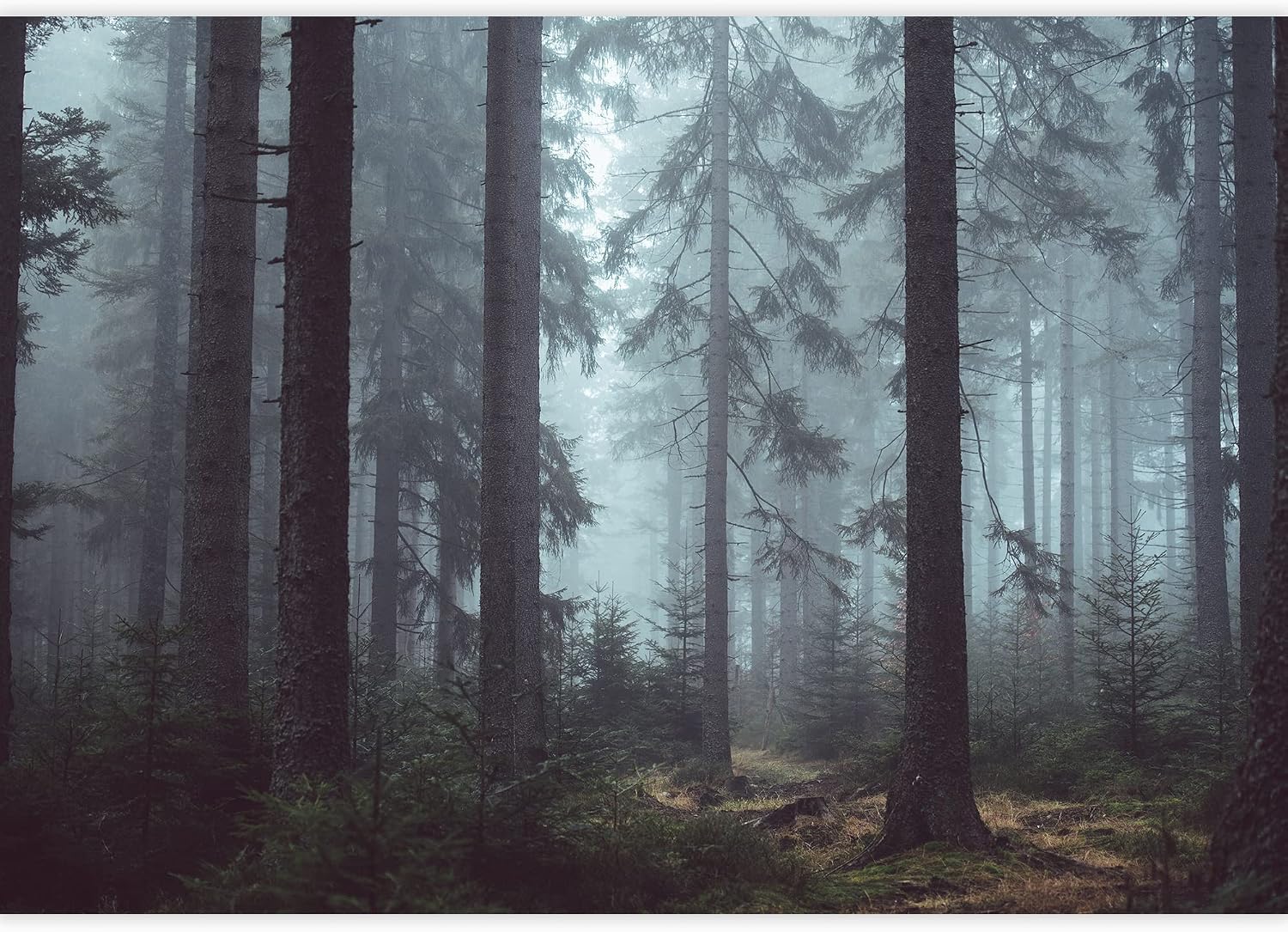 SIGNWIN Wall Mural Landscape of Forest Removable Self-Adhesive Wallpaper Wall Decoration for Bedroom Living Room - 66x96 inches