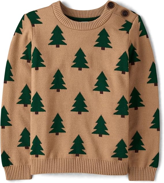 Gymboree Boys' and Toddler Embroidered Pullover Crew Neck Sweatshirt