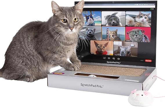 WHAT DO YOU MEME? Paws & Relax Pet Massager