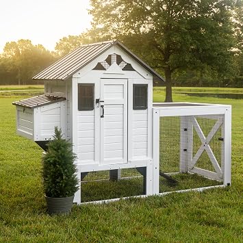 Backyard Discovery Sweetwater Cedar Wooden Chicken Coop for 4-6 Chickens with Run, Nesting Box, Automatic Door, Roosting Bars, Galvanized Steel Roof, Wire Mesh Protection, Ramp, Rooster and Hen House
